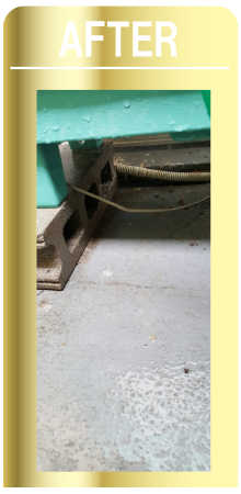 ベランダ清掃・鳩ネット貼り後4